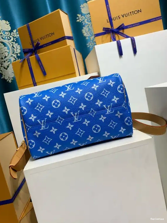Cheap Louis 25 Vuitton SPEEDY 0531